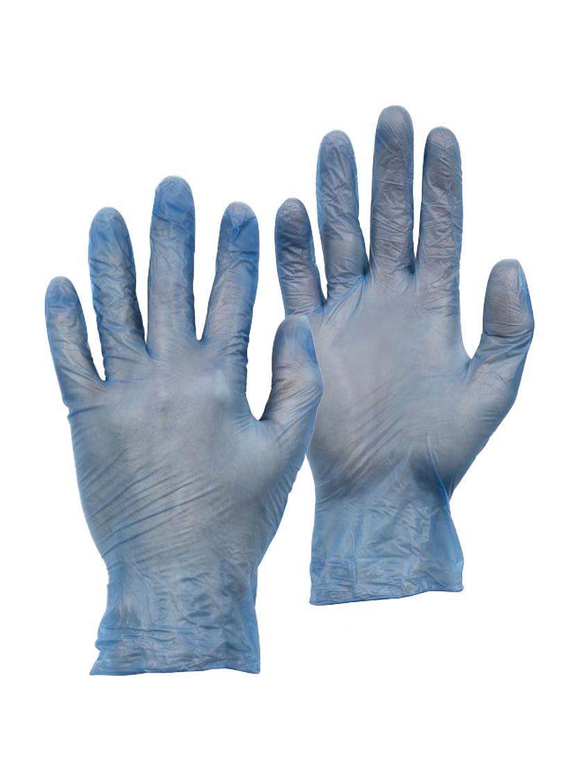 VINYL P/FREE GLOVES
